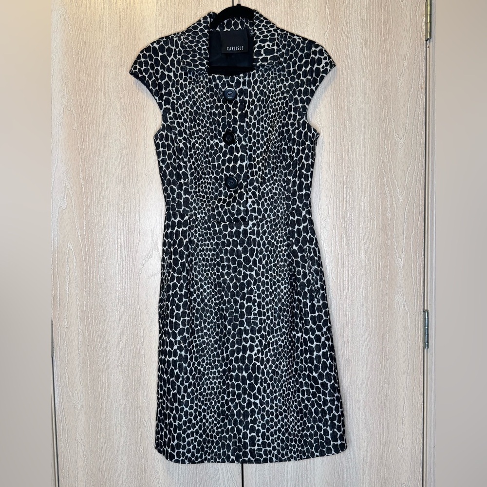 Carlisle Black and White Patterned Dress